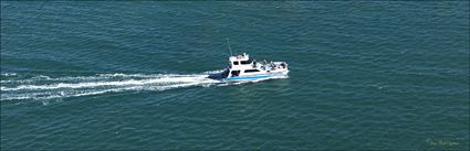 Freedom - Hervey Bay - QLD (PBH4 00 17991)